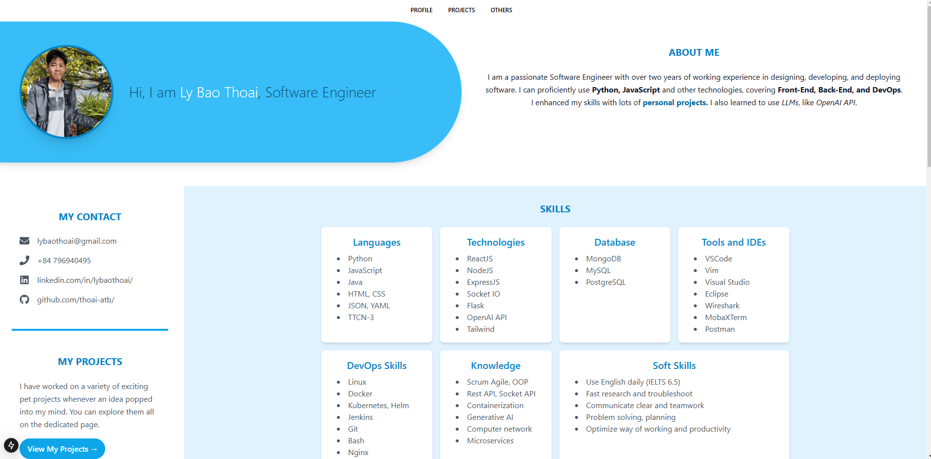The Portfolio Website on home page showing my skills and experience